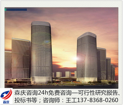 大城县房地产租赁项目投标书专业代写服务详解